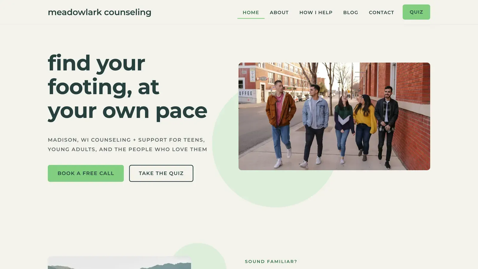 Homepage of the Meadow template — Meadowlark Counseling · Madison, WI